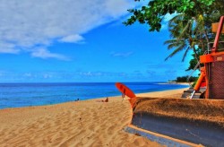 Meu olhar | My view