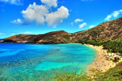 Meu olhar | My view