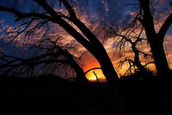 Meu olhar | My view
