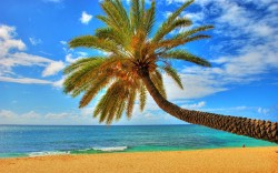 Meu olhar | My view